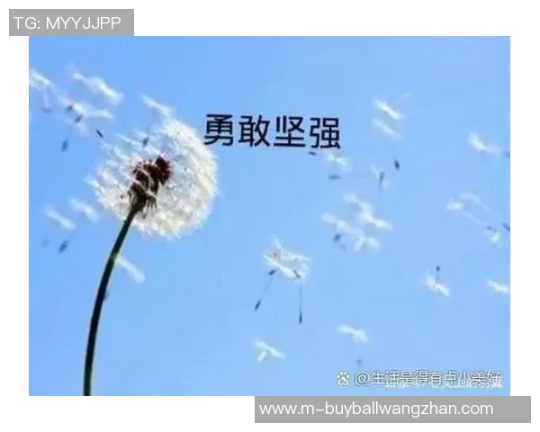 2026年3月份新闻李丽的极限运动人生探索与挑战背后的深度对话与感悟